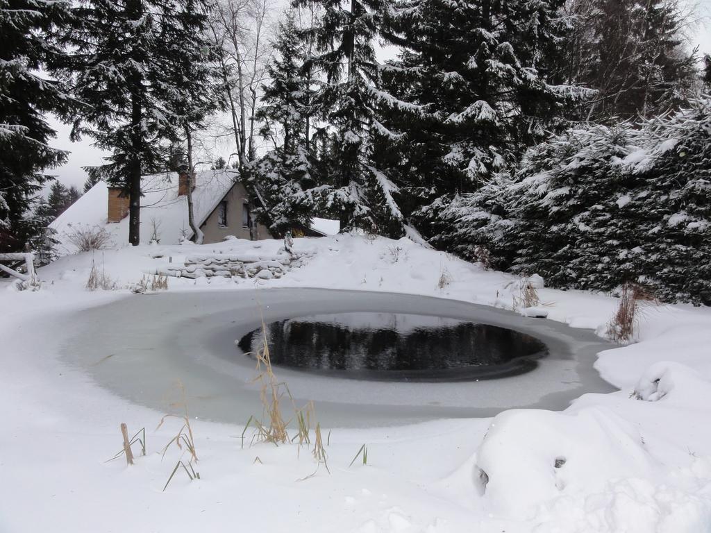 Hotel Pavla Vysocina Nove Mesto na Morave Exterior foto