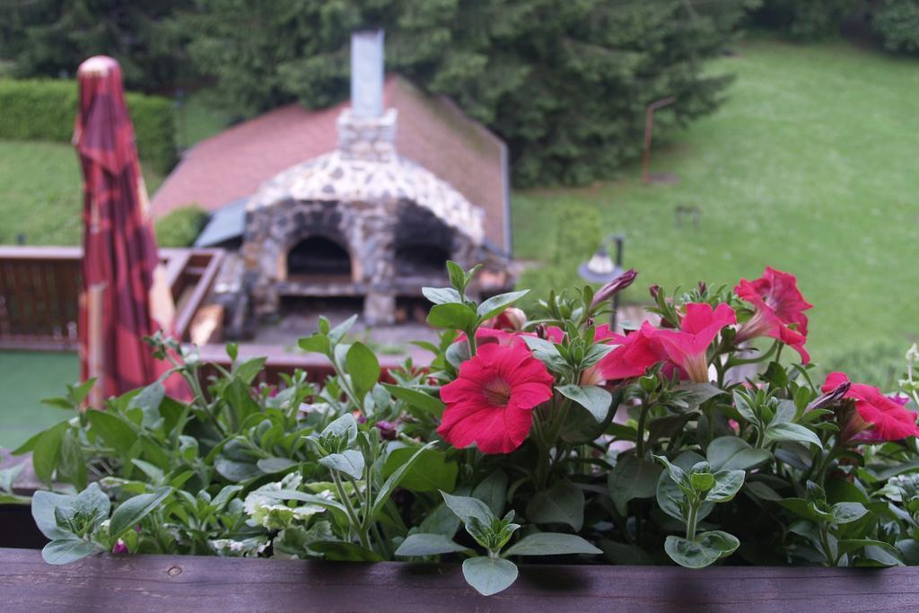 Hotel Pavla Vysocina Nove Mesto na Morave Zimmer foto